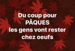 blague-coronavirus-paques-rester-chez-oeufs.jpg