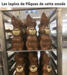 image-lapins-paques-avec-masques.jpg