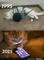 1000003290.jpg