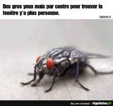 1000004081.jpg