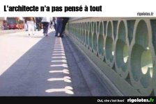 1000004170.jpg