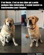 1000004342.jpg