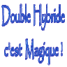 DoubleHybride